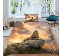 Lion Lying on The Rock Juego De Ropa De Cama, 3D con Impresión Funda Nórdica De Microfibra con Cierre De para Niñas Y Niños Single（135x200cm）