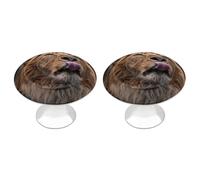 Lion Stick Out Tongue - Juego de 2 pomos vintage para gabinetes de cocina, de acero inoxidable, decorativos para muebles, cajones de tocador, baño, puerta plegable