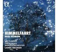 Lionel Meunier - Himmelfahrt