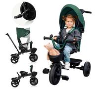 Lionelo Kori Bicicleta 2 en 1 55 x 80 x 84-103 cm Niño hasta 25 kg 1,5-5 años Triciclo y Bicicleta de Paseo Cinturones de 3 Puntos con Fundas Cubierta de llanta 2 cestas para Juguetes (Green)