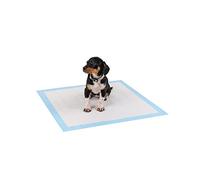 lionto Empapadores para Perros de 6 Capas, 60 x 60 cm, 100 Unidades | Empapadores de seis capas con tiras adhesivas, superficie antifugas y gran absorción para perros y otros animales