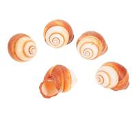 LIOOBO 5 Piezas de Conchas Gruesas de Caracoles para Cocinar Resistentes a Altas Temperaturas Naturales y Seguras para Hornear Caracoles en Restaurantes y Uso Doméstico