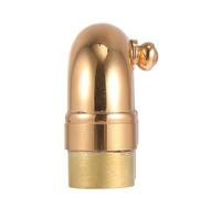 LIOOBO Codo Práctico y Fácil de Ajustar Pequeño de Latón Dorado para Trompeta Cuello Curvo para Músicos Profesionales y Amateurs