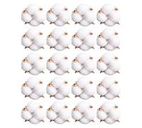 Lipfer 20 Piezas Cabeza De Algodón Flor Seca Natural Flor Artificial Algodón Home Decoración De Navidad DIY Genadora Material De Pared Floral