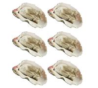 Lipfer 6 Pcs Modelo De Ostras Artificial Simulación De Mariscos Decoración De Mariscos Adornos para Tienda De Fiesta De Cocina De Cocina.