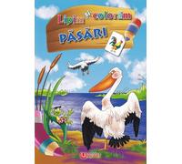 Lipim si coloram. Pasari