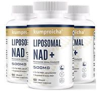 Liposomal NAD+ 500 mg con TMG 250 mg cápsulas blandas, suplemento NAD+ actual para la reparación celular y el metabolismo energético (180 cápsulas blandas)