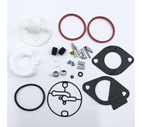 LIQIANG Kits de reparación de carburador compatibles con Briggs & Stratton 796184 Master Overhaul Nikki Carbs reemplaza a 698787 790032 699900 699521 792369 (Talla : 1)