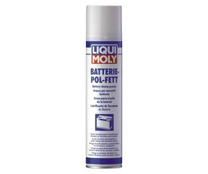 LIQUI MOLY Grasa para el polo de la batería (spray) | 300 ml | Grasa lubricante | 3141