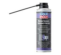 LIQUI MOLY Producto para el mantenimiento del interior de motores | 300 ml | Cuidado del automóvil | 1420