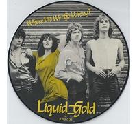 LIQUID GOLD - LIQUID GOLD - WHERE DID WE GO WRONG - 7" VINYL