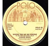 LIQUID GOLD - WHERE DID WE GO WRONG 7 INCH (7" VINYL 45) UK POLO 1982