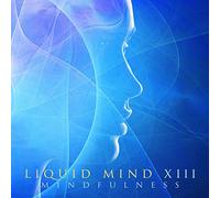 Liquid Mind XIII: Mindfulness
