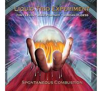 Liquid Tension Experiment - Spontaneous Combustion