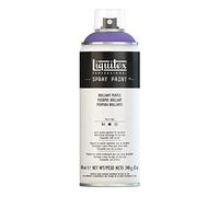 Liquitex - Acrílico en Spray, 400 ml, Purpura (Prupura Brillante)