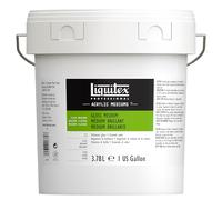 Liquitex Fluido Barniz Brillante Profesional, 3,79 l, Medium briliante, 3.78 L