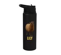 Lirio Stainless Steel Insulated Water Bottle