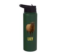 Lirio Stainless Steel Insulated Water Bottle
