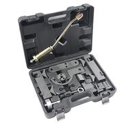 LIROPAU Kit de Calado Distribucion, Kit de Herramientas de Sincronización del Motor Compatible con Land Rover Range Rover Jaguar V8 5.0T V6 3.0T Motor con Bomba de Combustible y Dos Inyectores