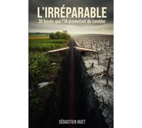 L'Irréparable: 30 fossés que l'IA promettait de combler