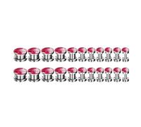 Lirzxin - Lote de 22 piercings para orejas de acero quirúrgico para mujer, 11 pares, tornillos redondos con gota de aceite, color rojo y rosa, dilatadores orejas, 3 mm-20 mm, plata