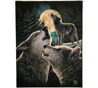 Lisa Parker WP_22514 Placa de lona | Canción de lobo de Anne Stokes | 19x25 | 1pc, Multicolor