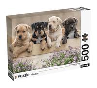 Lisciani - Puzzle Perros y Cachorros 500 Piezas Super Shine Adultos Desde 14 Años - Póster Incluido - Impresión Brillante Piezas Encajables 50x35 cm y Póster 70x50 cm