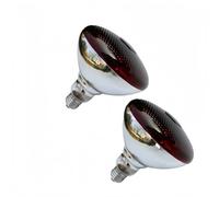 LISOCLU ¡Reptil lámpara de calefacción criadora base E27 220V 100W 150W 200W 250W 275W, temperatura de color 2428K longitud de onda 600-1400nm calefacción bombillas! 2pcs(150w/B)