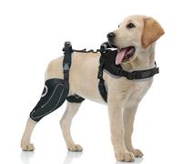 LISPOO Rodillera para perro para pierna trasera, rodillera con bisagras para pierna trasera del ligamento cruzado anterior, rodillera de perro para rótula luxante, soporte para perro para soporte de