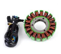 LISROEU Estator Bobina Compatible con Suzuki para VL125 2000-2007 para VL250 para Intruder LC 2000-2012 32101-12F00 Accesorios De Bobina De Estator De Generador De Motocicleta