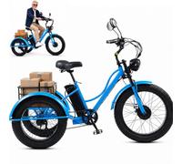 LISTaRSw Bicicleta Eléctrica De 3 Ruedas De 24 Pulgadas Blue-A | Para Adultos Y Personas Mayores, Triciclo De Nieve Con Asiento/Sin Asiento, Pantalla Lcd + Faro + Cuadro De Acero Al Carbono