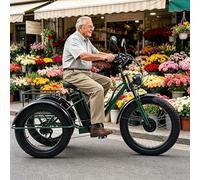 LISTaRSw Bicicleta Eléctrica De 3 Ruedas De 24 Pulgadas para Adultos Y Personas Mayores, Triciclo De Nieve con Asiento/Sin Asiento, Pantalla LCD + Faro + Cuadro De Acero Al Carbono Green-A