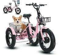 LISTaRSw Electric Bike Adults, Bicycle Elderly, 3-Wheel Electric Bike, 20 Inch Electric Tricycle, with Pedal Support & Mobile Power Bank, LCD Display, Adjustable Seat, MAX Load: 150KG B