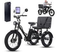 LISTaRSw Three Wheel Electric Trike for Adults 24 Inch City Bicycles E-Trike Adult Electric Tricycle for Elderly with Seat/Wide Tires/LCD Display/Carbon Steel Frame Black