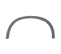 Moldura del guardabarros Atrás izquierda 5703-04-0096597PP BLIC para BMW X5