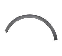 Moldura Decorativa/ Protectora, Guardabarros RN7001583 PRASCO Para RENAULT