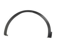 Listón embellecedor/protector BLIC 5703-08-6090375P izquierda