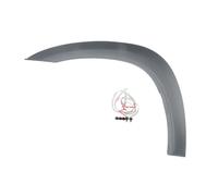 Listón embellecedor/protector BLIC 5703-08-8179373P izquierda