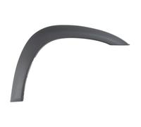 Listón embellecedor/protector BLIC 5703-08-8179374P