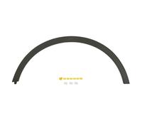 Listón embellecedor/protector, guardabarros BLIC 5703-04-5029421Q