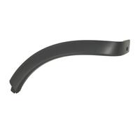 Listón embellecedor/protector, guardabarros BLIC 5703-04-5721593P