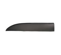 Listón embellecedor/protector, guardabarros BLIC 5703-04-6063585PP
