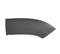 Listón embellecedor/protector, guardabarros BLIC 5703-08-2098372P