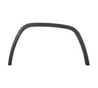 Listón embellecedor/protector, guardabarros BLIC 5703-08-3207372P