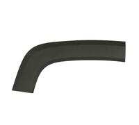 Listón embellecedor/protector, guardabarros BLIC 5703-08-3216374P