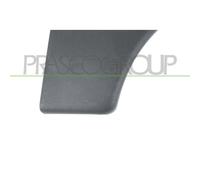 Listón Embellecedor/protector Guardabarros Prasco CI9151401 para Citroën