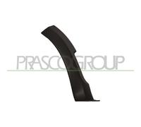 Listón Embellecedor/protector Guardabarros Prasco DA2261571 para Dacia