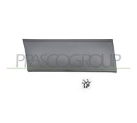 Listón Embellecedor/protector Guardabarros Prasco FT9001455 para Fiat Nissan