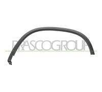 Listón Embellecedor/protector Guardabarros Prasco VG8091584 para VW