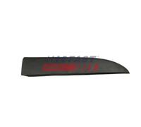 Listón Embellecedor/protector Luna De Puerta Fast FT90966 para Opel Fiat Nissan